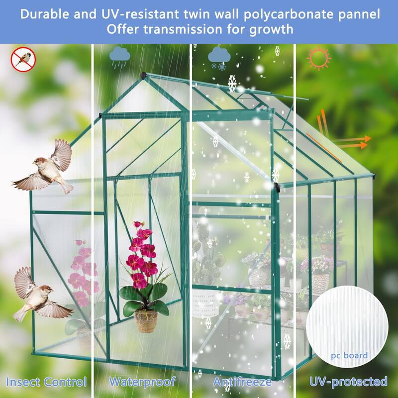 6 x 8 FT Outdoor Patio Greenhouse for Outdoor Backyard in All Season - 7' 8" x 6' 7"