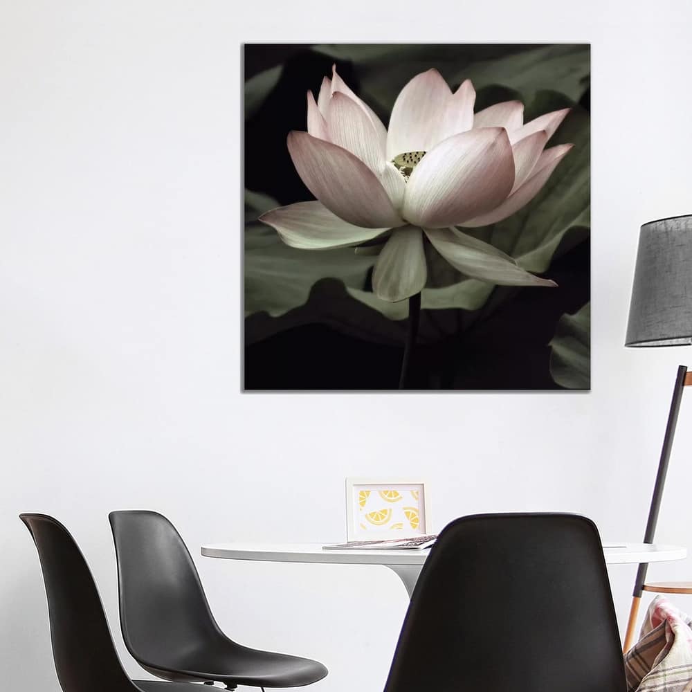 iCanvas "The Lotus I" by Andy Neuwirth Canvas Print