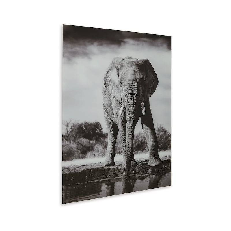 Signature Design by Ashley Glinyard Black/White Wall Art