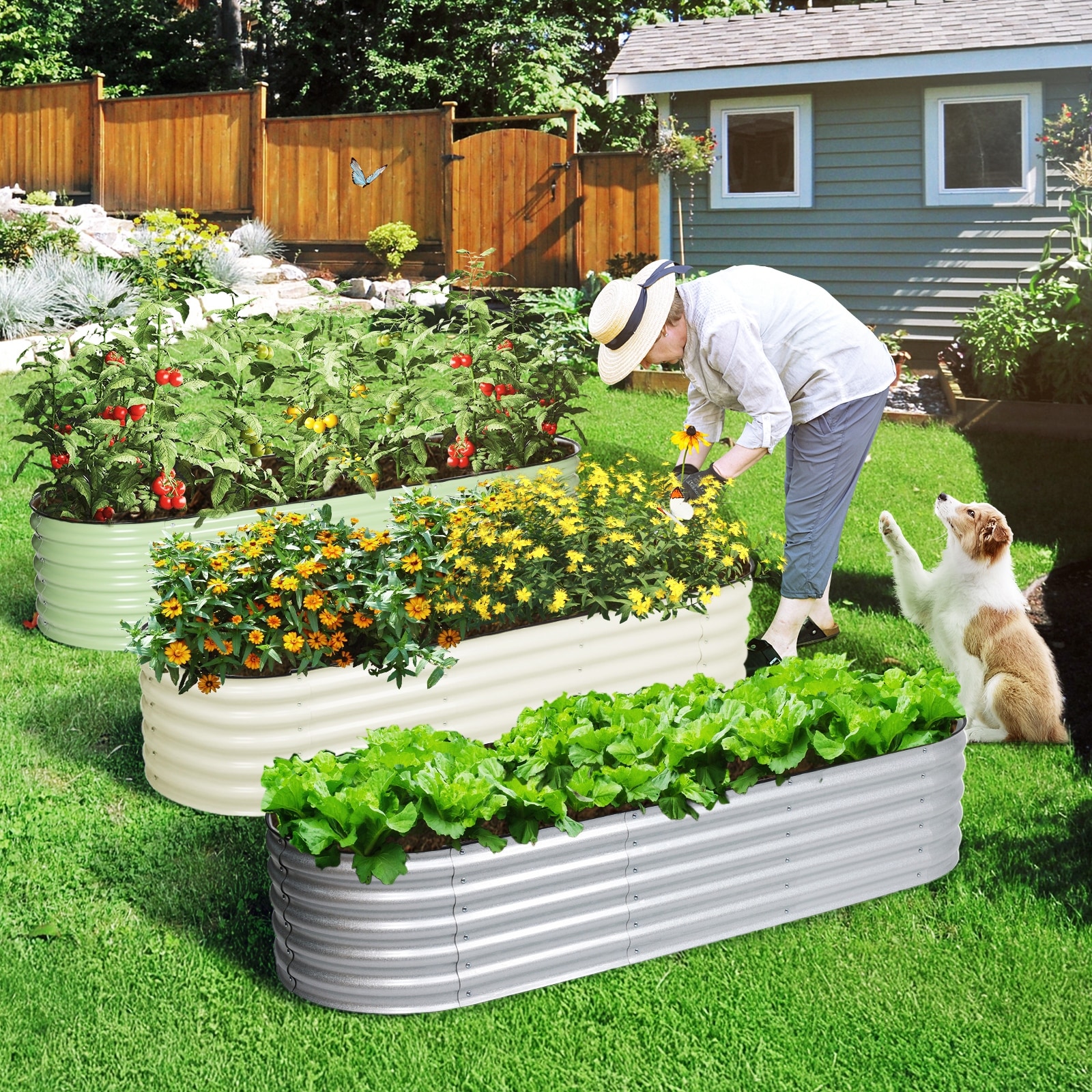 Aoodor 6-in-1 Modular Aluzinc Metal Raised Garden Bed Kit - On