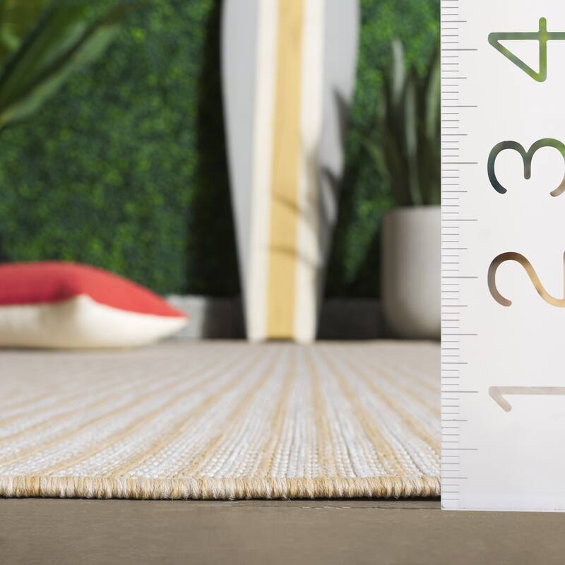 SAFAVIEH Terrace Ribana Indoor/Outdoor Washable Backyard Patio Rug
