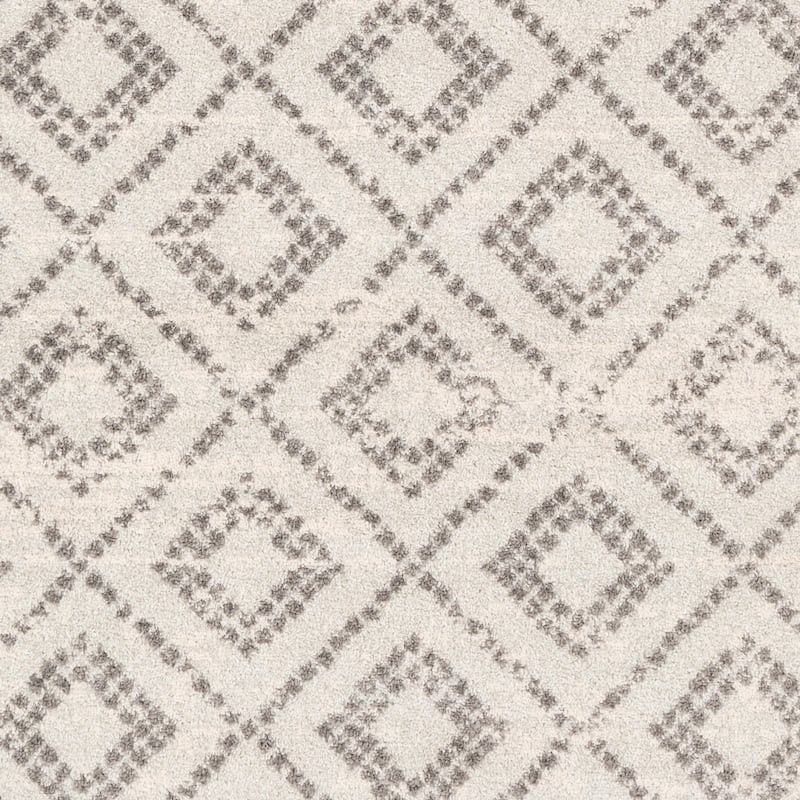 Livabliss Naima Bohemian Border Area Rug