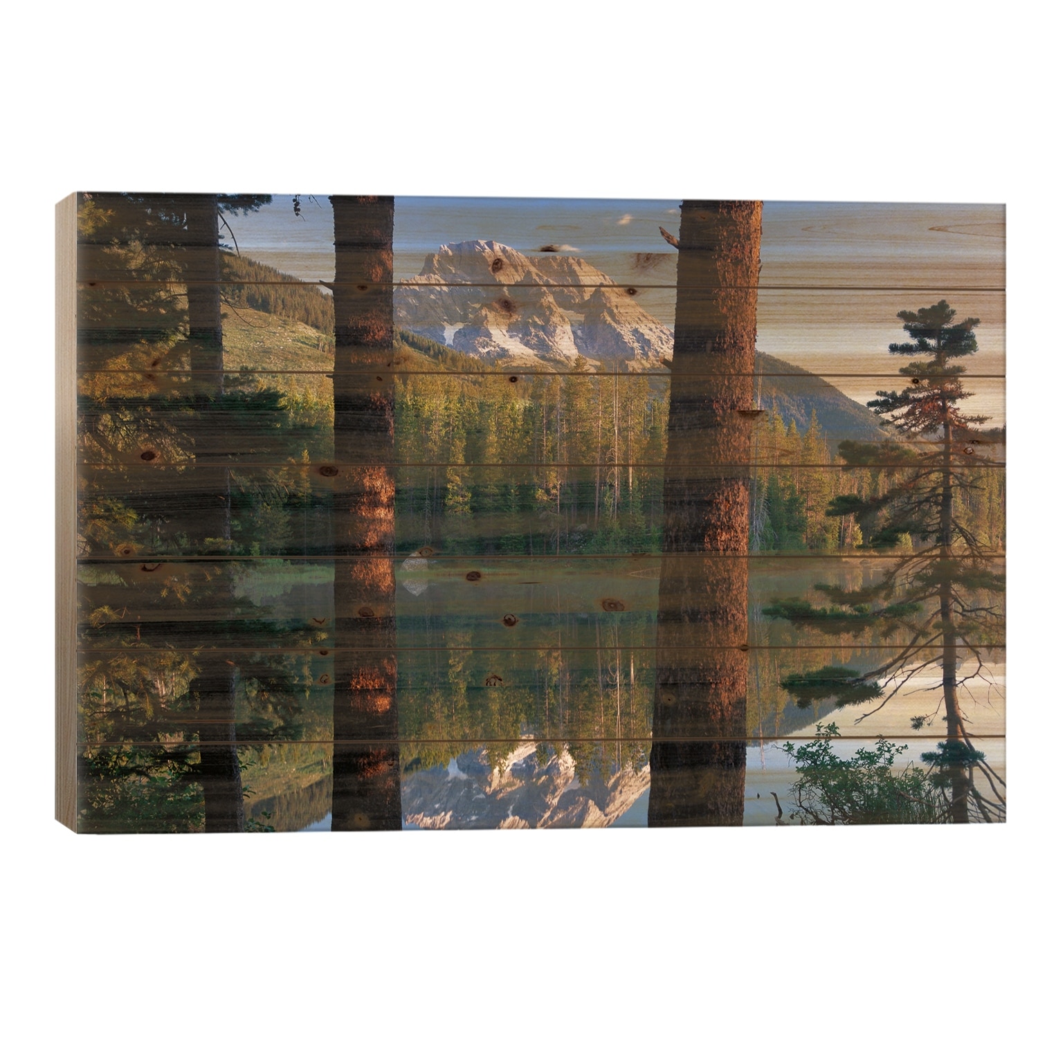 Mt Moran Reflected In String Lake, Grand Teton National Park, Wyoming Print On Wood by Tim Fitzharris - Multi-Color