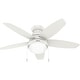 preview thumbnail 8 of 22, Hunter Lilliana Low Profile Ceiling Fan w/LED Light Kit, Pull Chain, Exclusive SureSpeed - Modern, Transitional