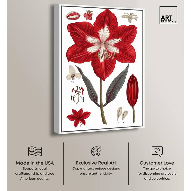 Amaryllis Anatomy Canvas by Art Remedy