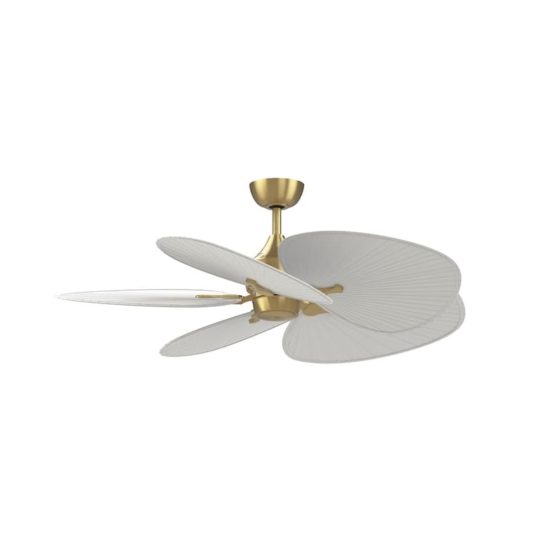 Fanimation Islander DC 22 inch Indoor/Outdoor Ceiling Fan Wide Oval Palm-Inspired Blades - Set of 5