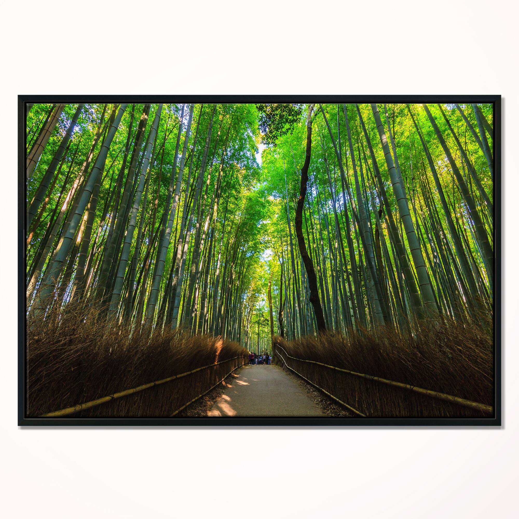 Designart "Road through Dense Bamboo Groves" Large Landscape Framed