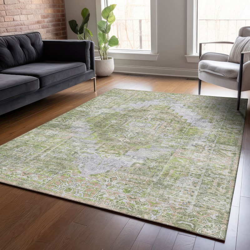 Machine Washable Indoor/Outdoor Traditional Global Chantille Rug