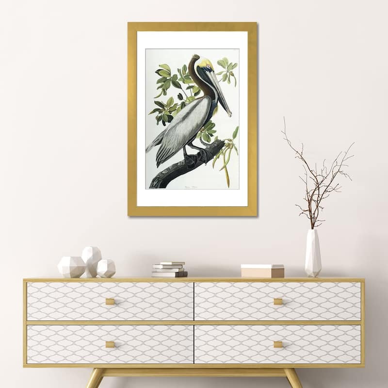 iCanvas "Brown Pelican, 1835 " by John James Audubon
