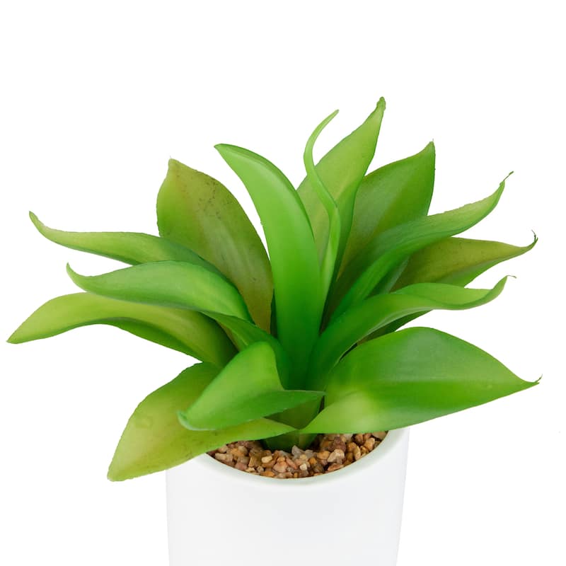 Artificial Mini Foxtail Agave Plant in a White Pot - 8"