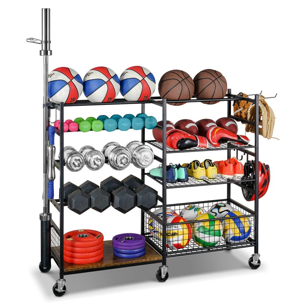 4-Tier Sports Equipment Organizer, Dumbbell and Ball Storage Rack