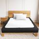 Option Black