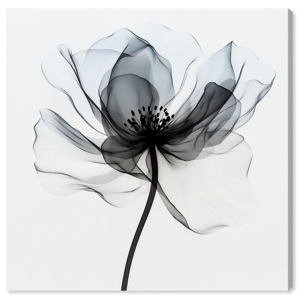Midania II Canvas by Art Remedy, Gallery Wrapped