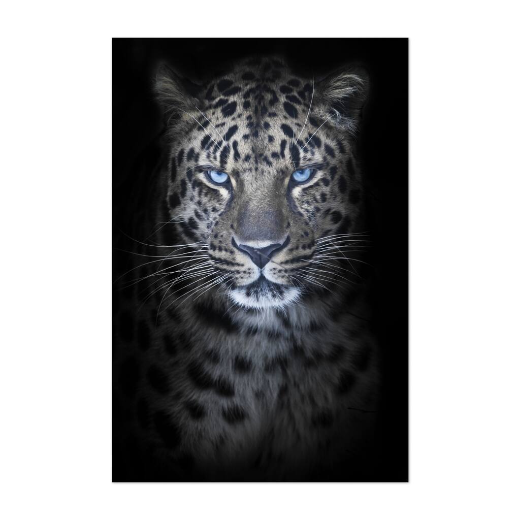 Leopard in night moonlight blue eyes glow Art Print/Poster