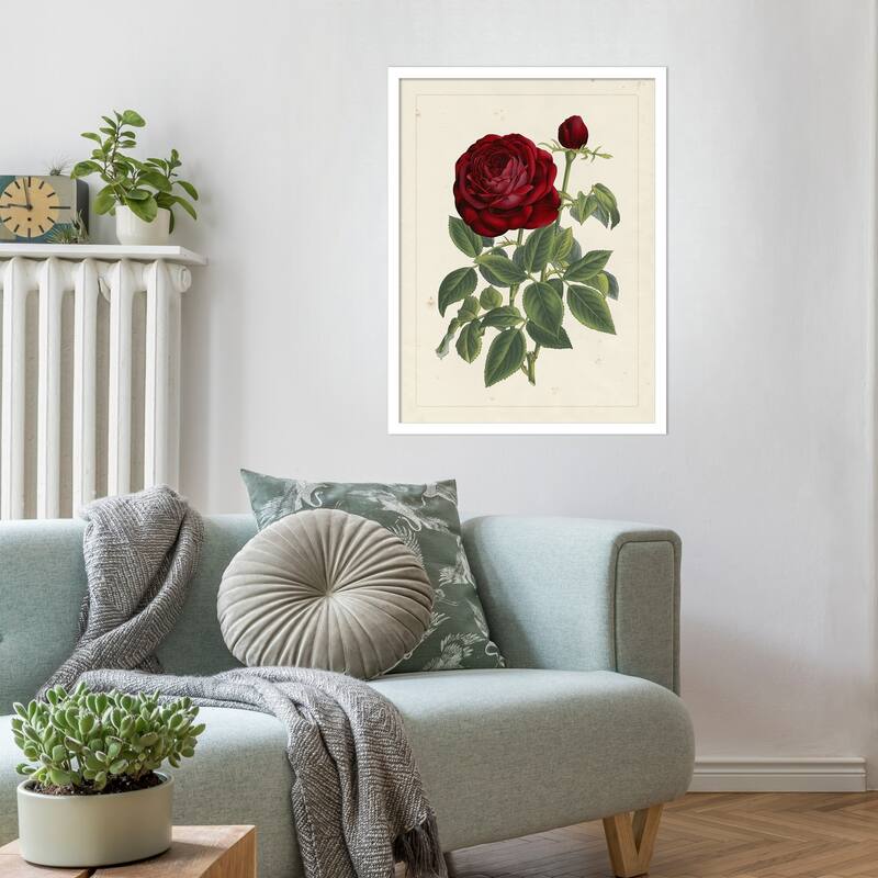 Van Houtteano Rose No. 2 Wood Framed Wall Art Print