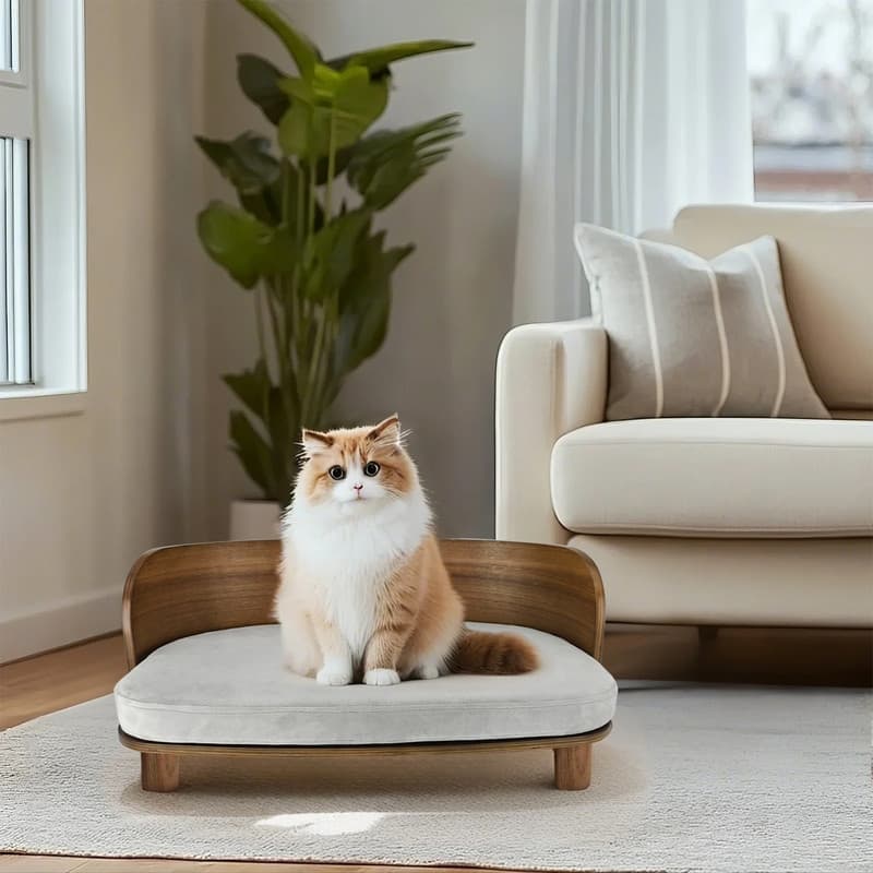 Elevated Dog Bed Curved Wood with Waterproof Soft Cozy Cushion Stool