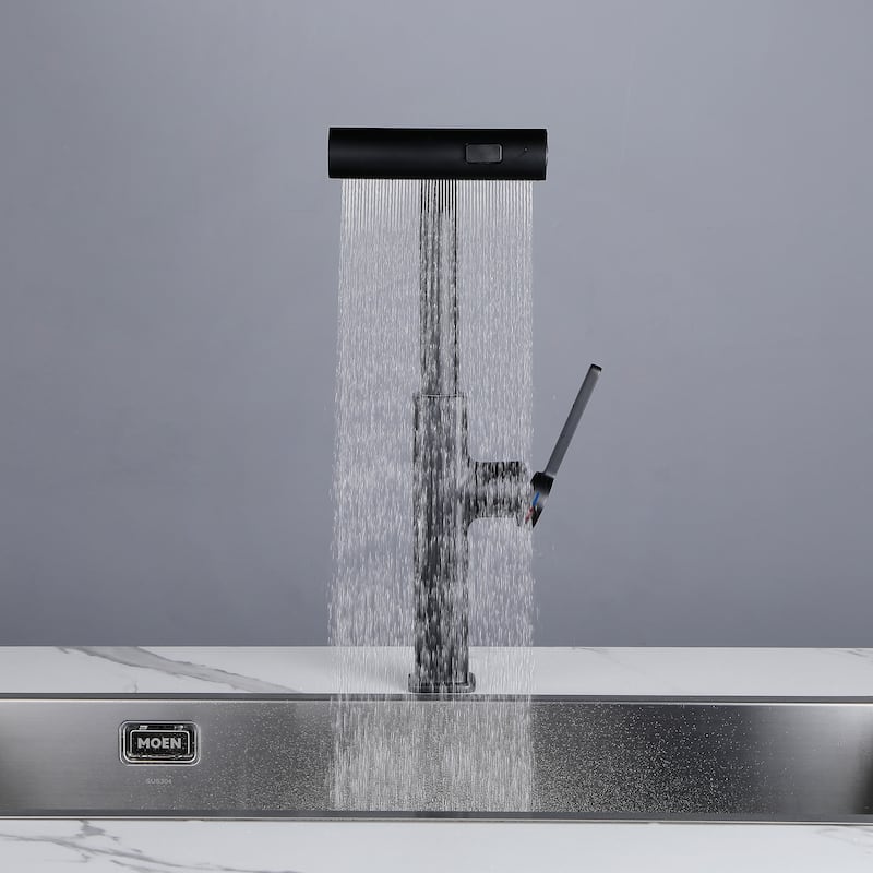Single Handle Kitchen Faucet with Pull Out Sprayer Single Hole Brass Pull Out Kitchen Sink Faucets Matte Black
