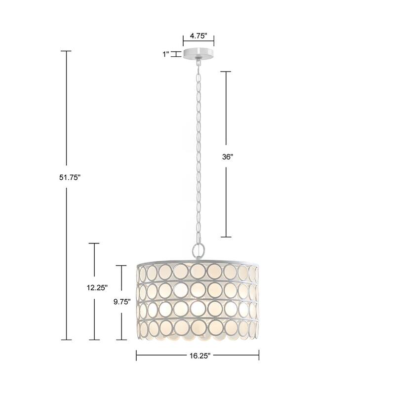 4-Light Glass Drum Shade Chandelier for living room,bedroom,and dining room