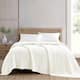 Option Ivory