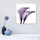 preview thumbnail 5 of 6, iCanvas "Calla Lilies II" by Albert Koetsier Canvas Print 18x18x0.75