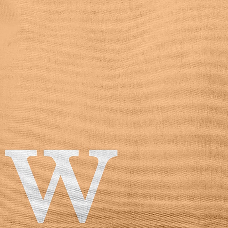Modern Monogram Decorative Throw Pillow