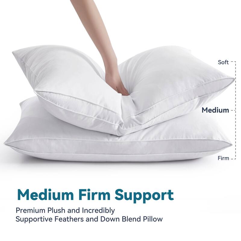 2 Pack Gusseted Goose Feather Down Pillows with Cotton Cover - White