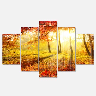 Designart 'Yellow Red Fall Trees and Leaves' Landscape Artwork Glossy Metal Wall Art