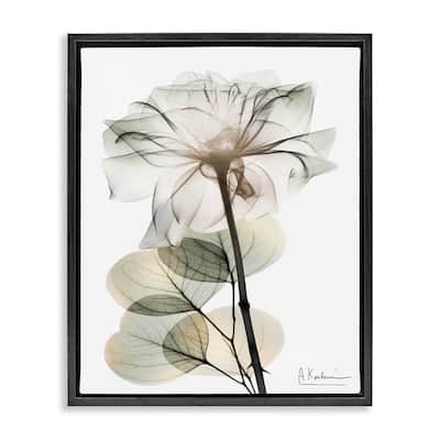 Stupell Modern Minimalist Buds Framed Floater Canvas Wall Art Design By Albert Koetsier