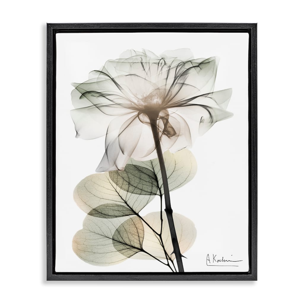 Stupell Modern Minimalist Buds Framed Floater Canvas Wall Art Design By Albert Koetsier