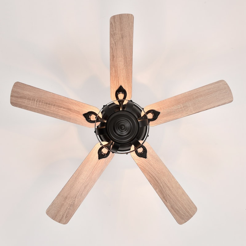 Farmhouse Matte Black 5-Blade Cage Reversible Ceiling Fan with Remote and Light Kit - 52-in W x 22.8-in H
