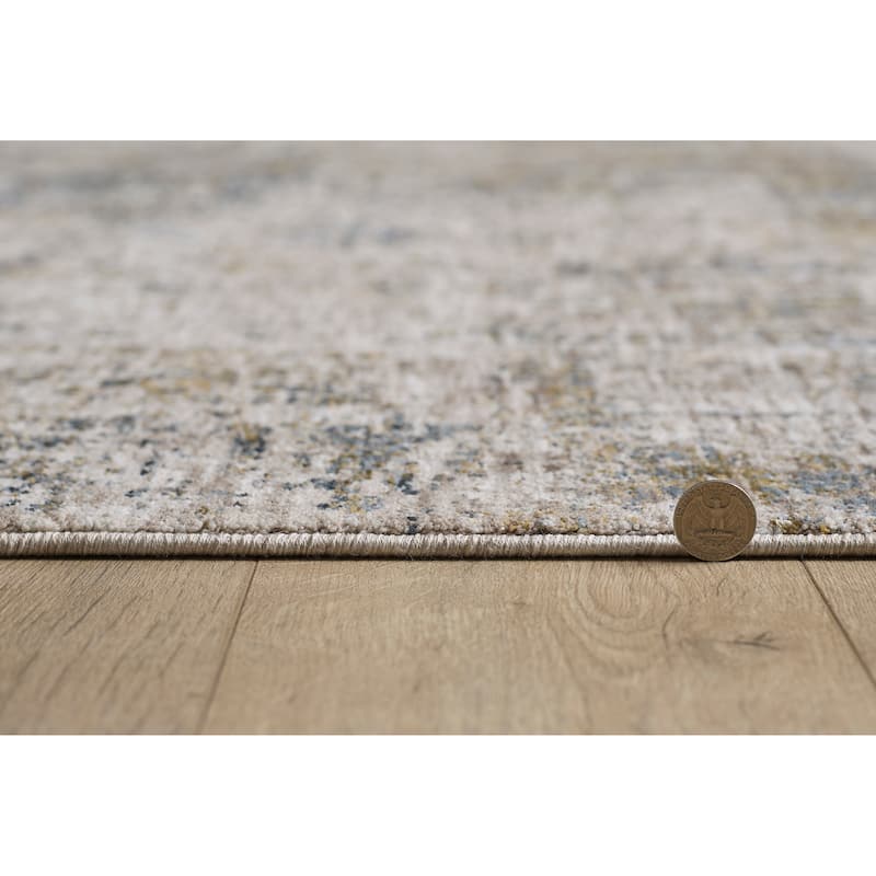 Domani Opulence Distressed Granite Area Rug