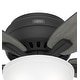 preview thumbnail 11 of 23, Hunter 52" Newsome Flush Mount Ceiling Fan with LED Bowl Light Kit and Pull Chain
