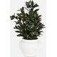 preview thumbnail 1 of 0, Uttermost 60236 Elena Olive 28" Tall Ceramic Faux Flora Planter Off-White