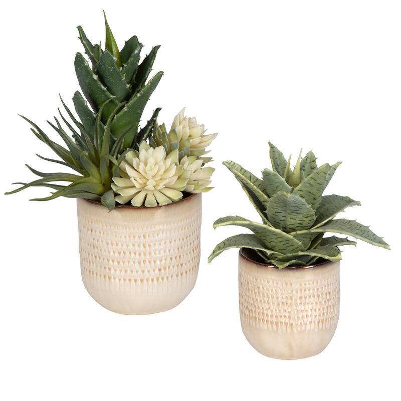 Uttermost Seaside Succulents, Set Of 2 - 9"W x 12"H x 7"D