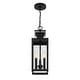 preview thumbnail 3 of 3, Ascott 3-Light Outdoor Hanging Lantern in Matte Black