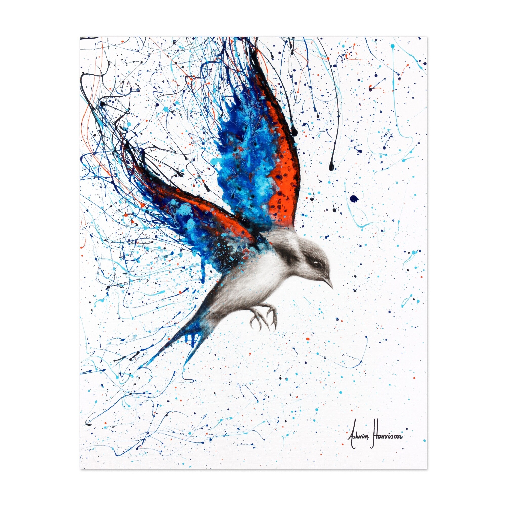 Shop Animals Bird Birds Blue Jay Feathers Unframed Wall Art Print Poster Overstock 31902147