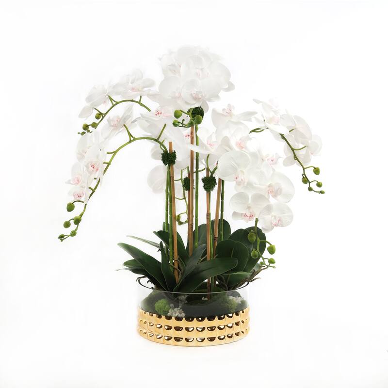 Real Touch Cream Orchid Arrangement in a Glass Gold Bowl - 22"W x 22"D x 20"H