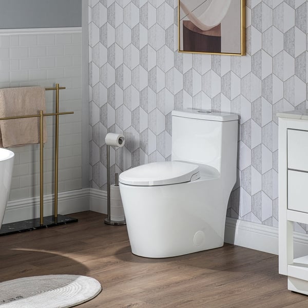 Casta Diva Elongated Bidet Toilet Combo Dual Flush in White