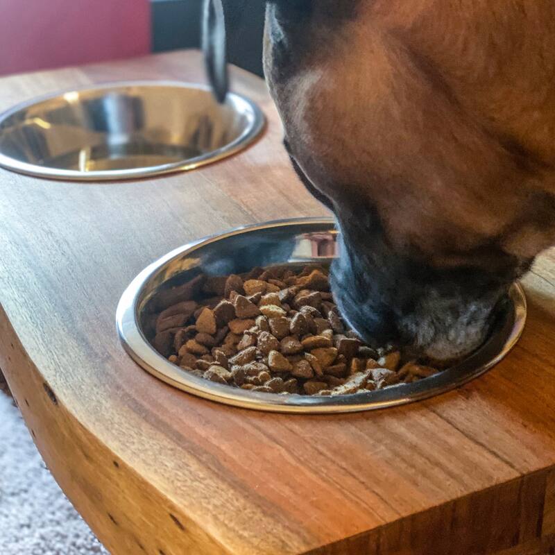 Acacia Wood Live Edge Double Bowl Pet Feeder Stand - 26Lx12Wx10.25H