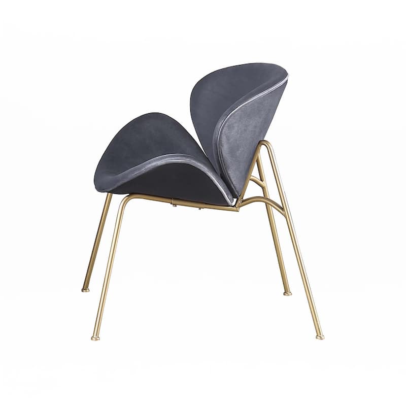Velvet Chair for Home/Office/Dining