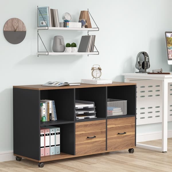 https://ak1.ostkcdn.com/images/products/is/images/direct/479af4048b47160dcc1ff84fb19f0eab39ec365e/2-Drawers-Lateral-File-Cabinets-Letter-Size%2C-43-inches-Mobile-Filing-Cabinet-Printer-Stand-Office-Cabinet.jpg?impolicy=medium