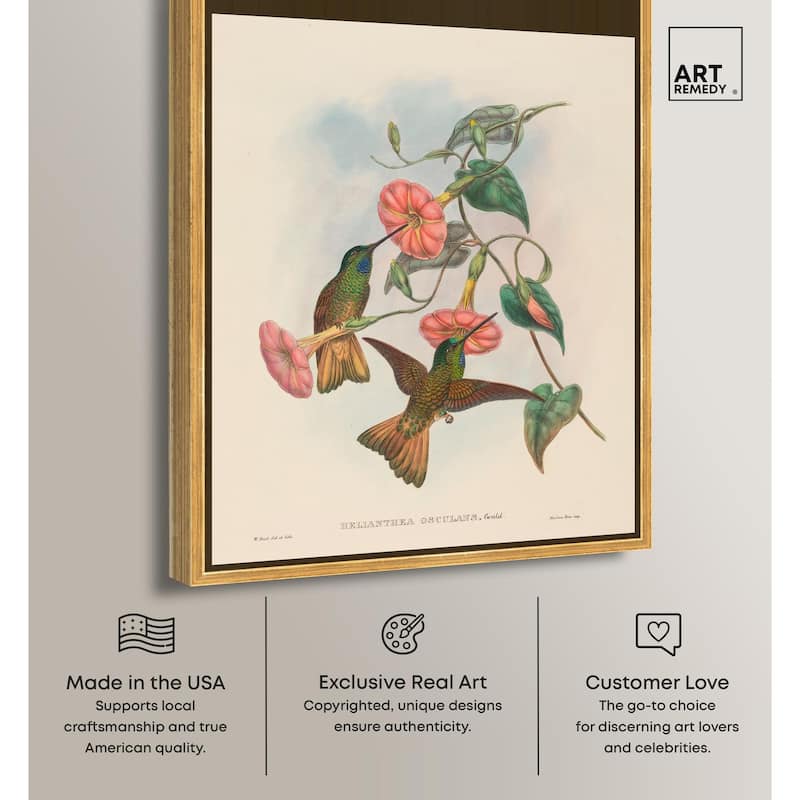 Gould's Hummingbirds Canvas by Art Remedy