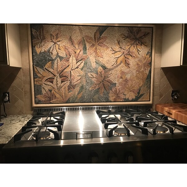 Top Product Reviews For Thor Kitchen 48 Inch Stainless Steel Professional Gas Range 10401399 Overstock