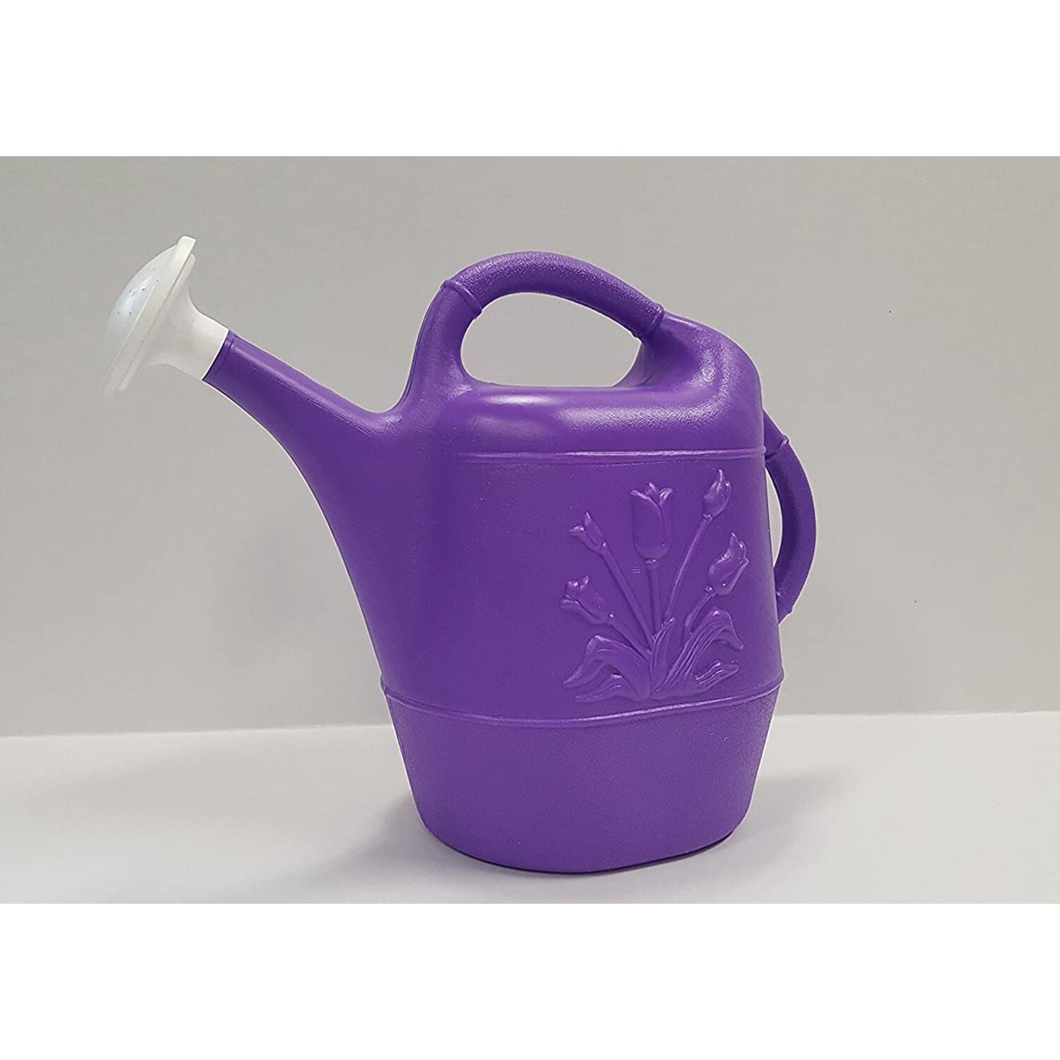 Union Products 63068 Indoor/Outdoor 2 Gallon Plastic Plant