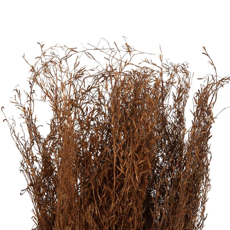 Brown Dried Plant Tall Sticks Home Decor Natural Foliage
