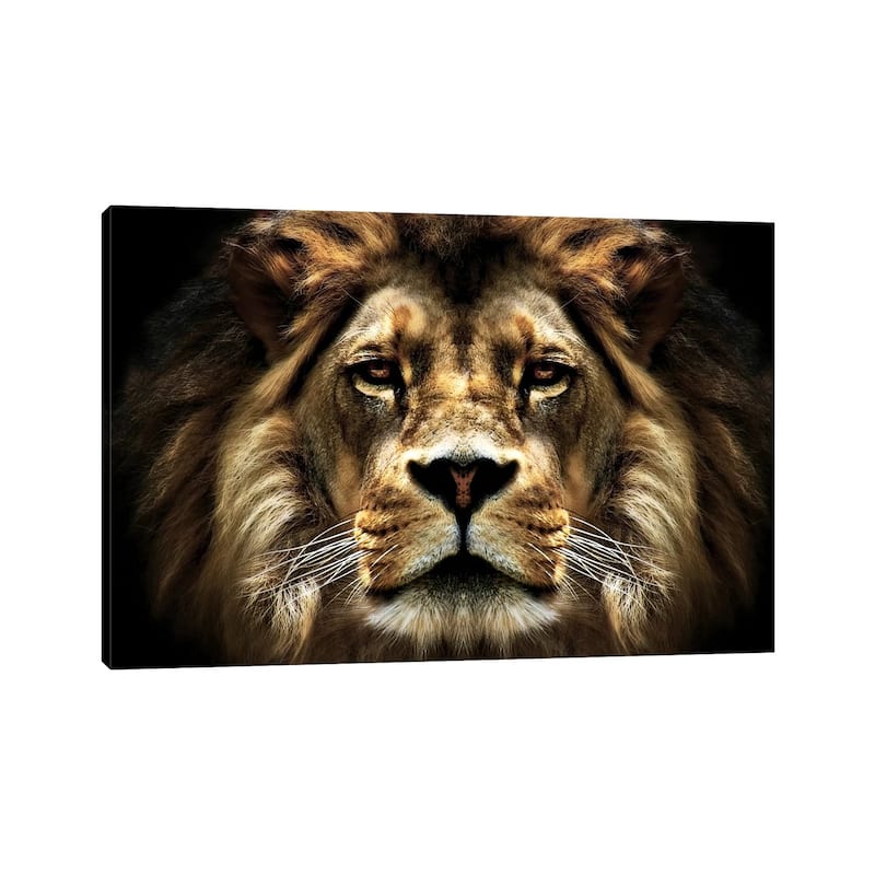 iCanvas "The Lion" by SD Smart Canvas Print