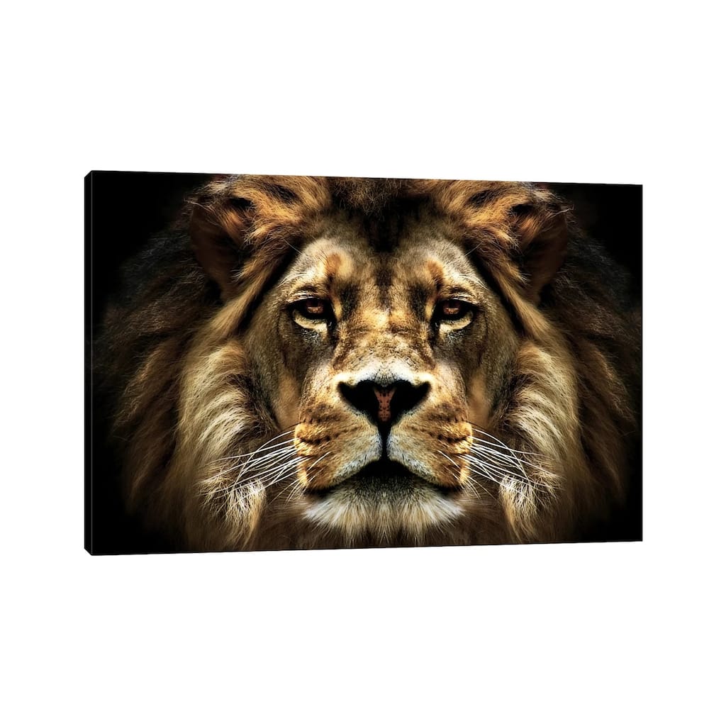 iCanvas "The Lion" by SD Smart Canvas Print