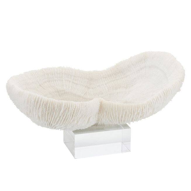 Feather Peanut Coral 10-12 On Acrylic Base