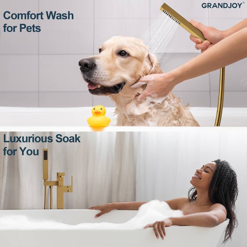 GRANDJOY 1-Handle Stylish Freestanding Tub Faucet with Hand Shower