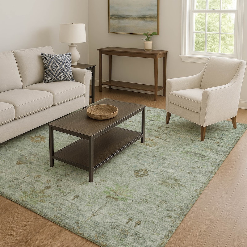 Premium Washable Super Soft Vintage Traditional Mayfield Rug